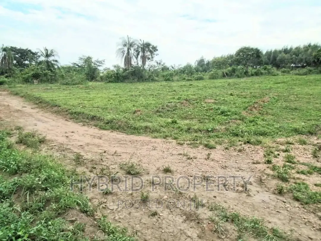 Plots for Sale at Gobero~Sseganga/Wakiso~ Estate~Hoima Road
