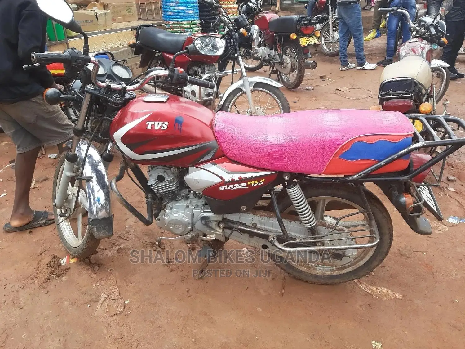 TVS 2020 Purple