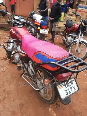 TVS 2020 Purple
