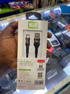 Earldom Type C Usb