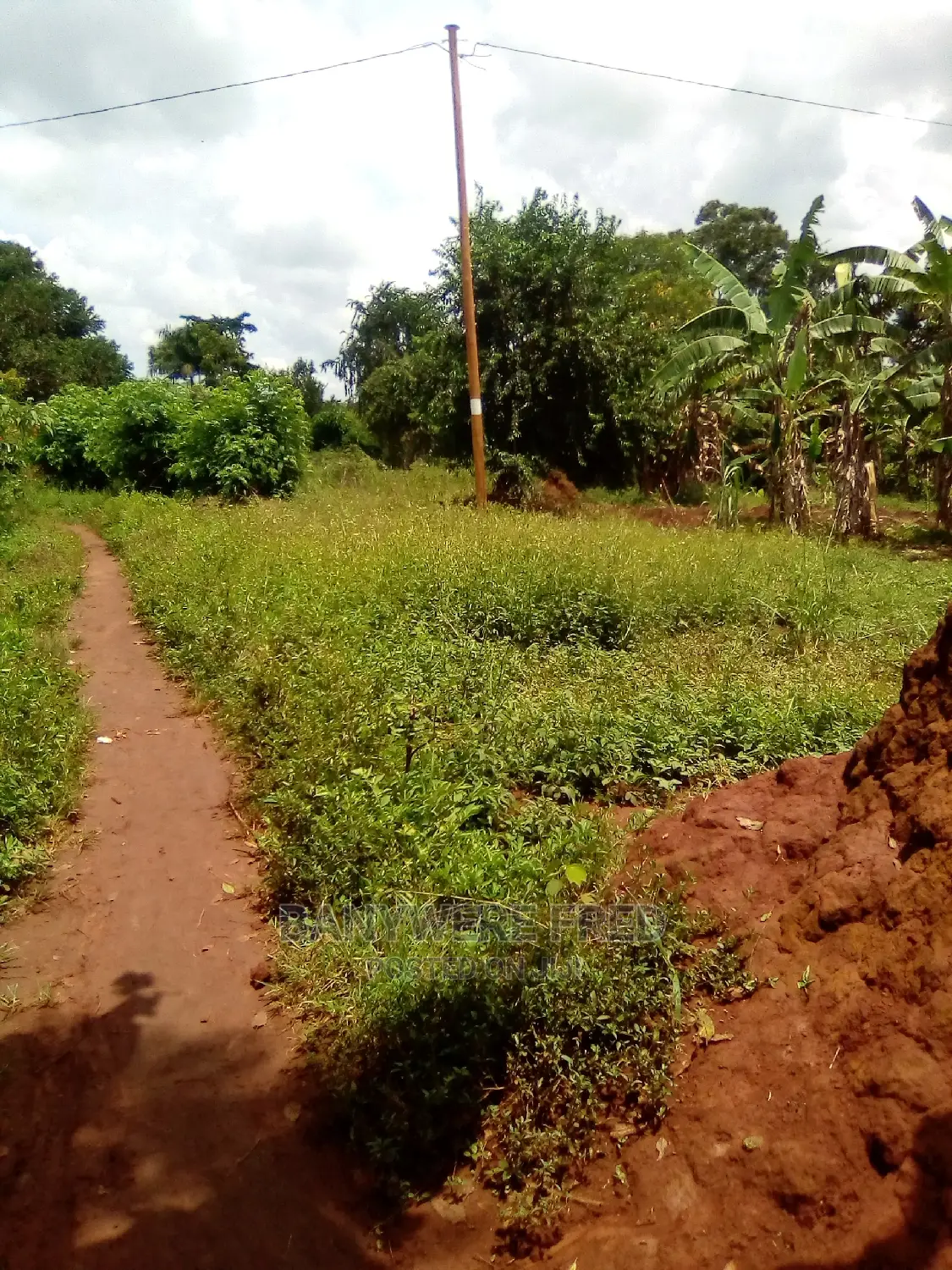 0.5acer of Land for Sale in Banda