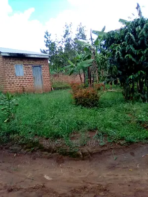 50/100 Plot for Sale in Kakiri