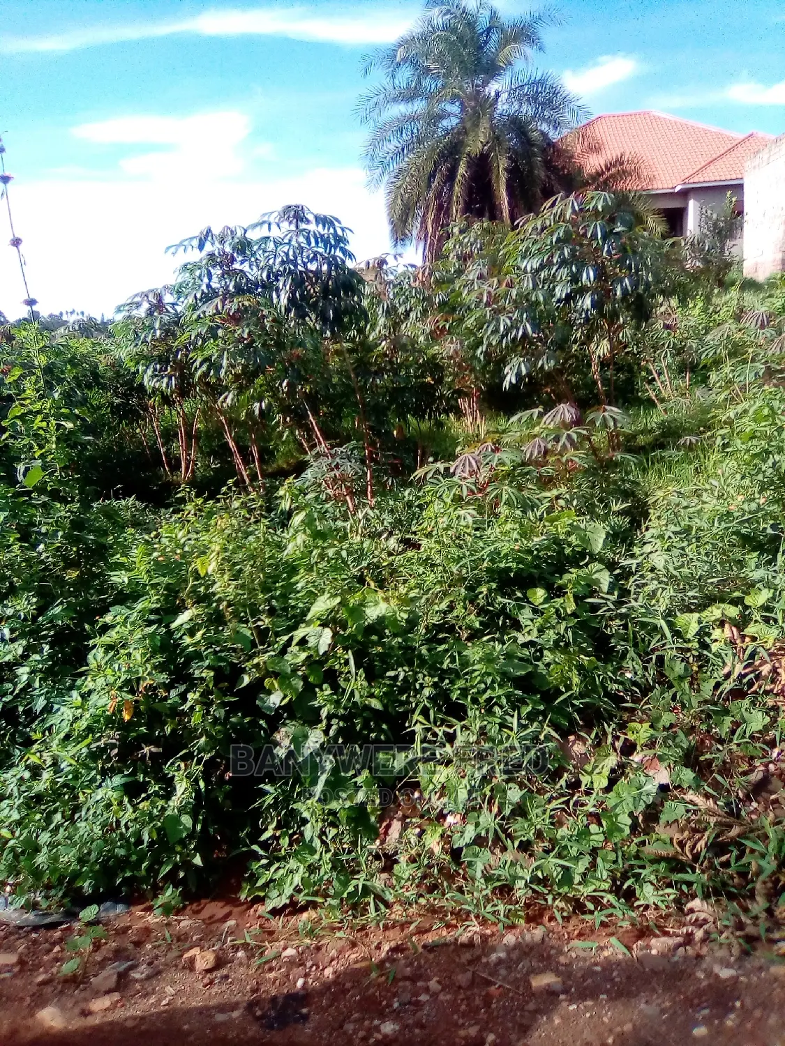 50/100 Plot for Sale in Napunge