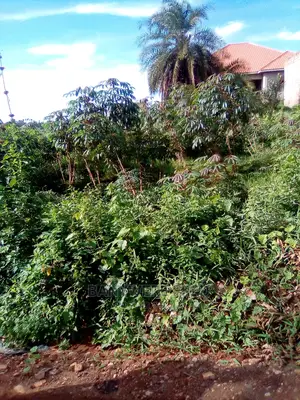 50/100 Plot for Sale in Napunge