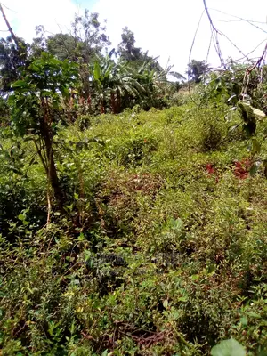 50/100 Plot for Sale in Kikadwa