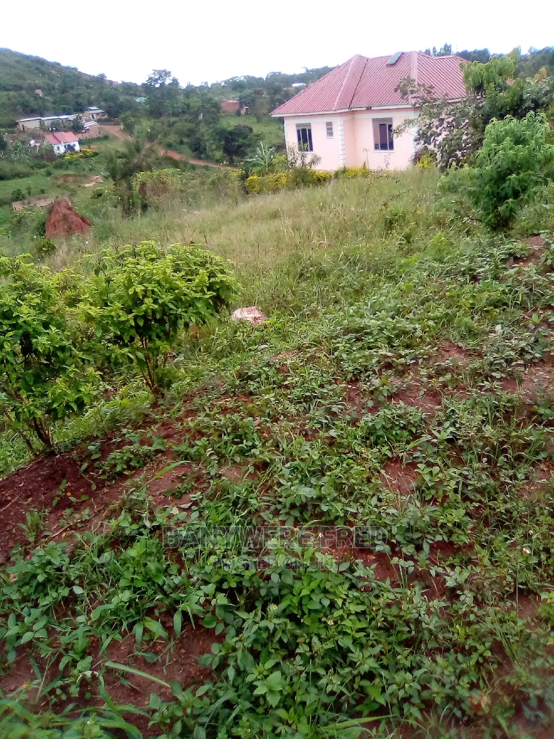 50/100 Plot for Sale in Jinja Misindye