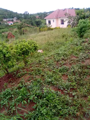 50/100 Plot for Sale in Jinja Misindye
