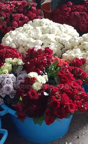 A Mixture Of Red White And Other Colours