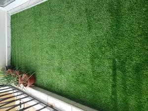 Grass Carpter(Artificial Turf)