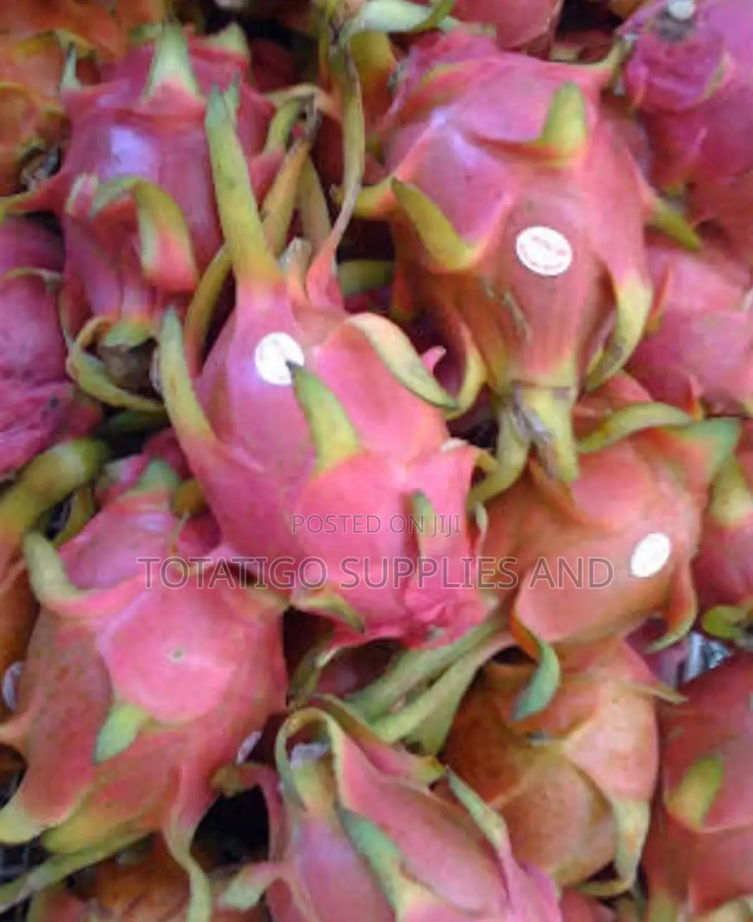 Dragon Fruit Price Per Piece