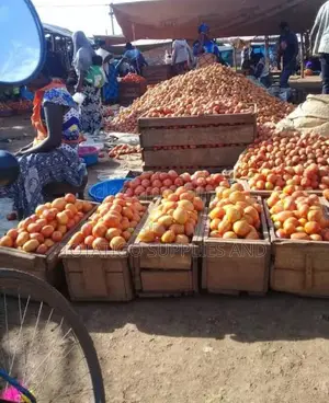 Photo - Yellow Tomatoea