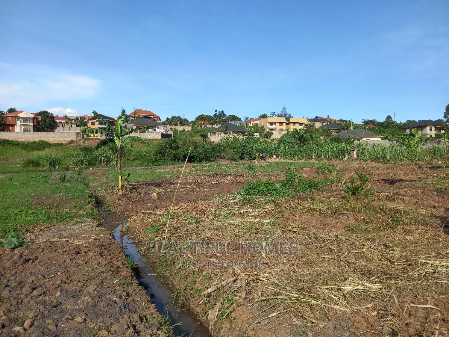 Kira Great Two Plots on Sale