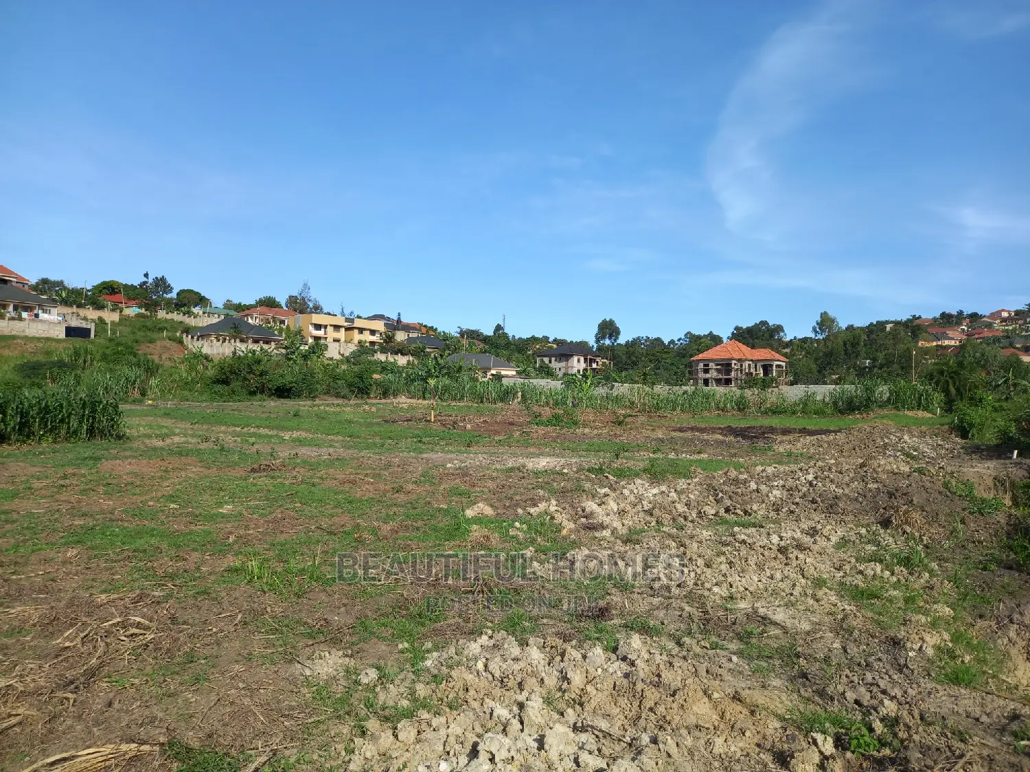 Kira Great Lands on Sell