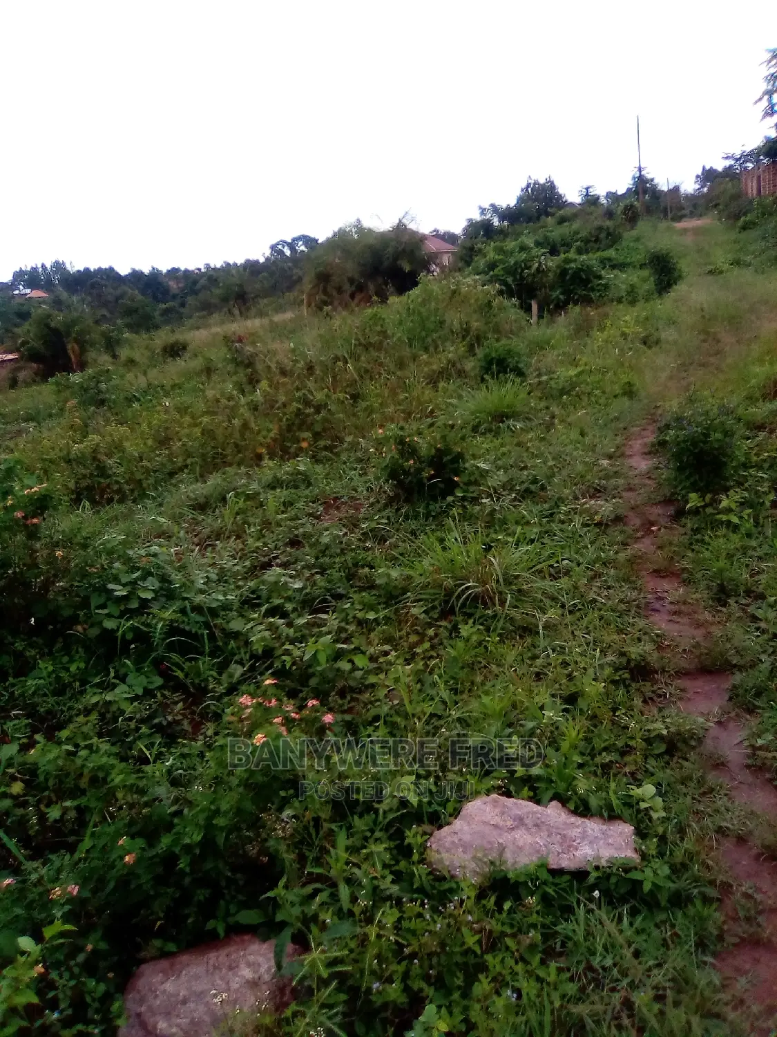 80/100 Plot for Sale in Lwanyonyi Mukono