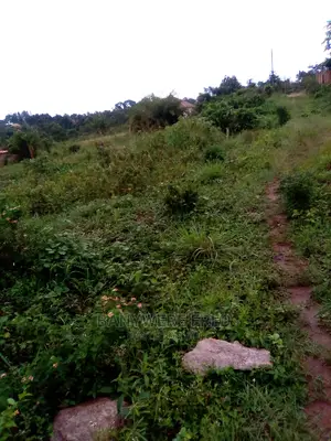 80/100 Plot for Sale in Lwanyonyi Mukono