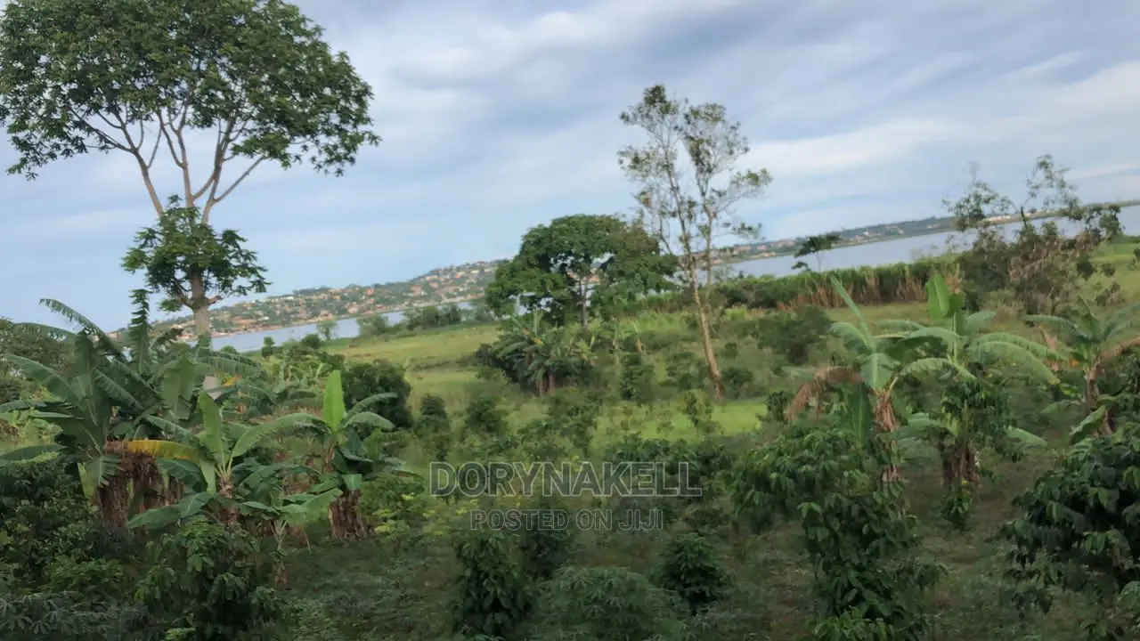 3 Acres in Buwaya- Kasanje at 600m