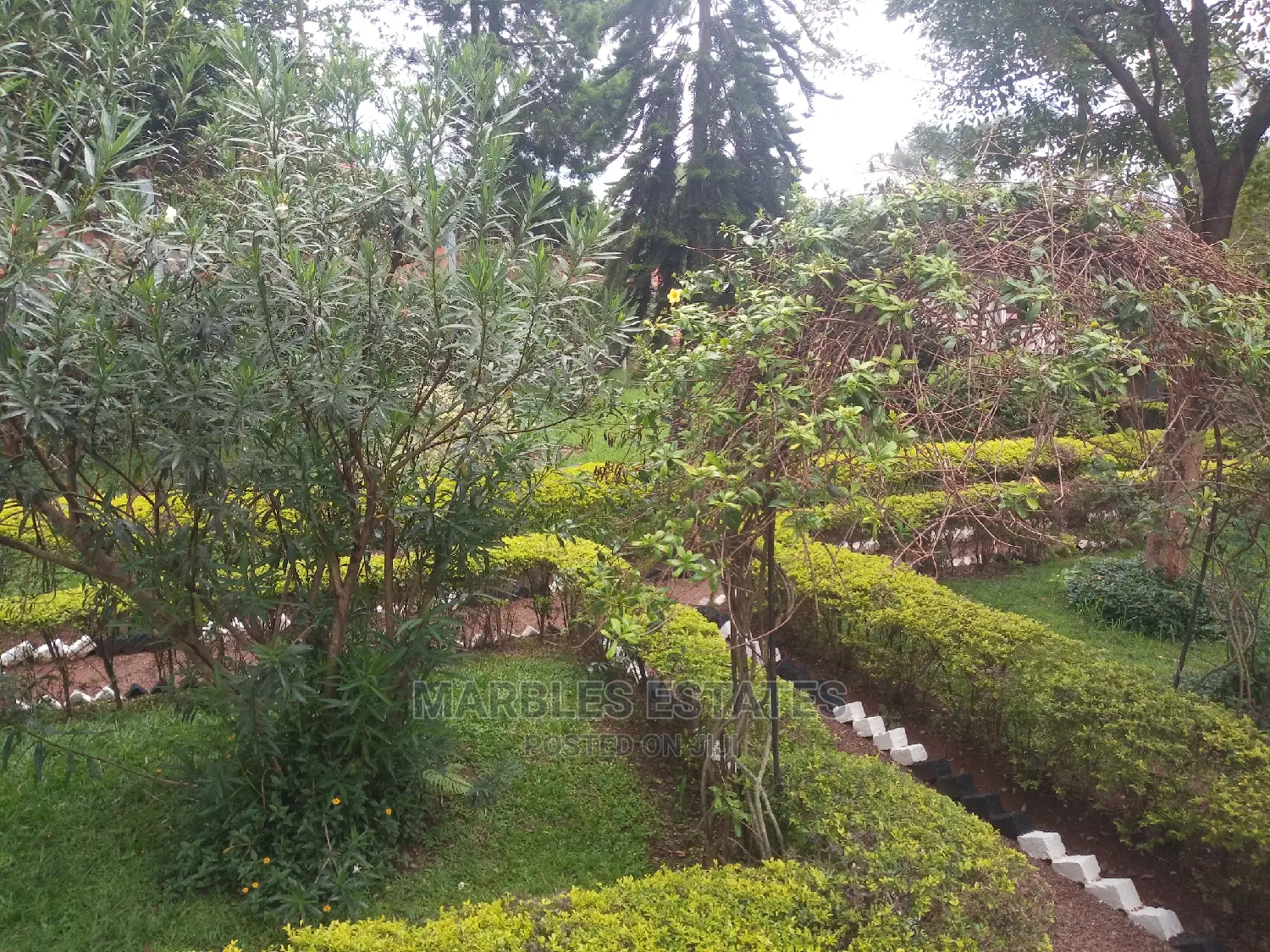 4bdrm House in Naguru, Central Division for Rent