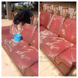 Leather Seats Cleaning