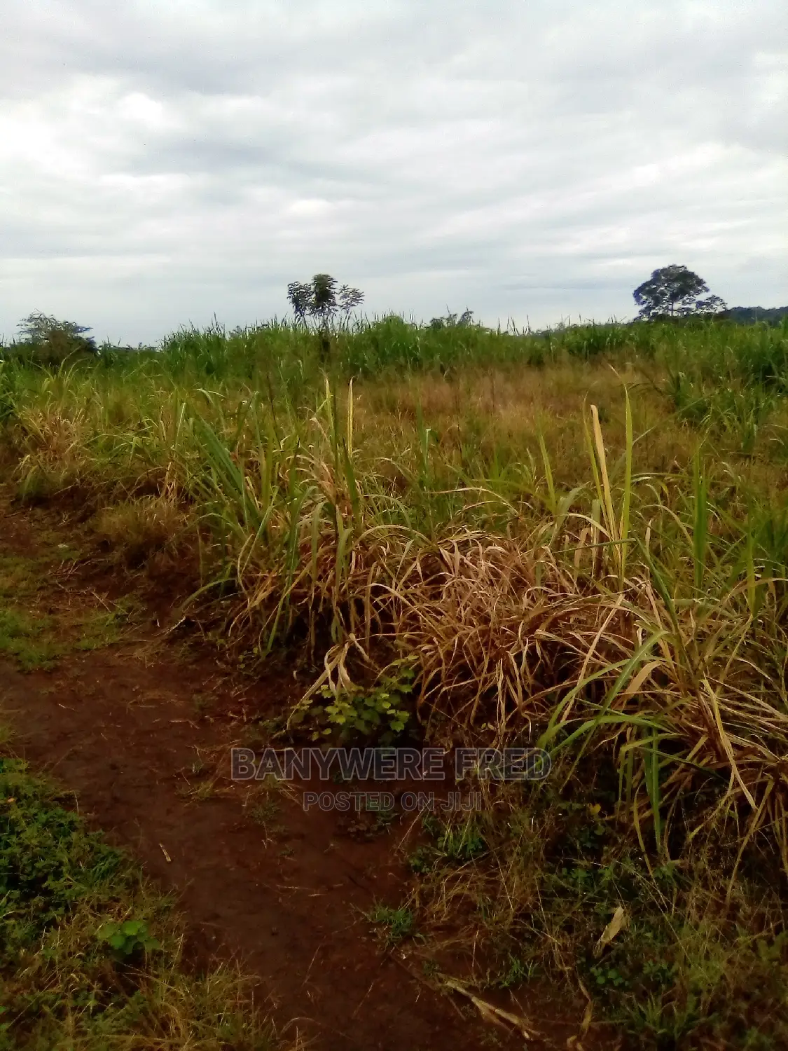 50/100 Plot for Sale in Nama Mukono