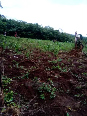 8acres of Farmland in Luwero