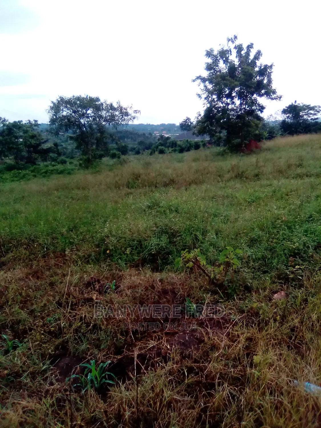 5acres of Land for Sale in Katikamu Luwero