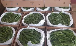 Photo - Ocra Fresh -1kg