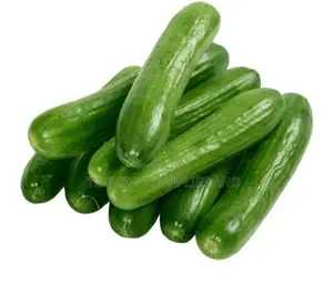 Photo - Pure Green Longlike Cucumber