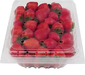 Photo - Full Parnet of Strawberries