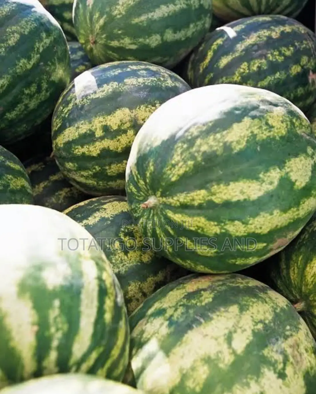 Watermellon Fruit