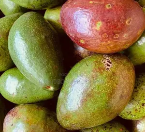 Photo - Big Avokado