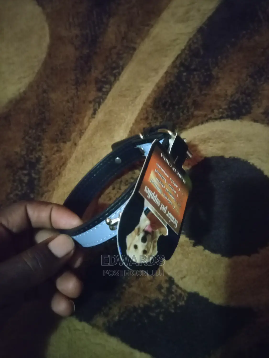 Dog Collar (Silver)