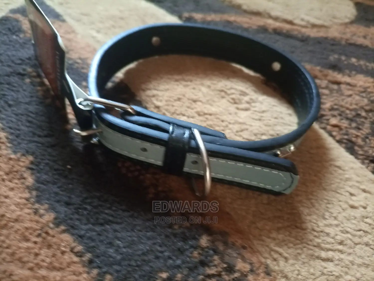 Dog Collar (Silver)