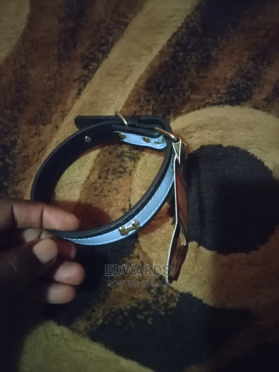 Dog Collar (Silver)