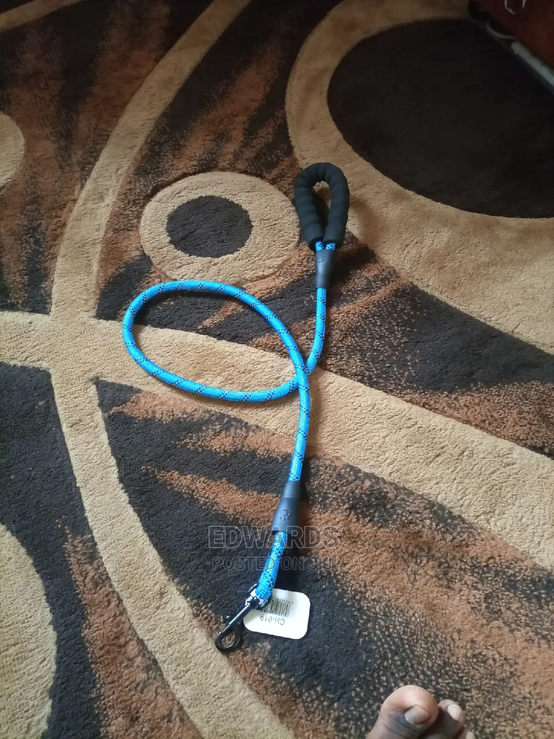 Dog's Leash