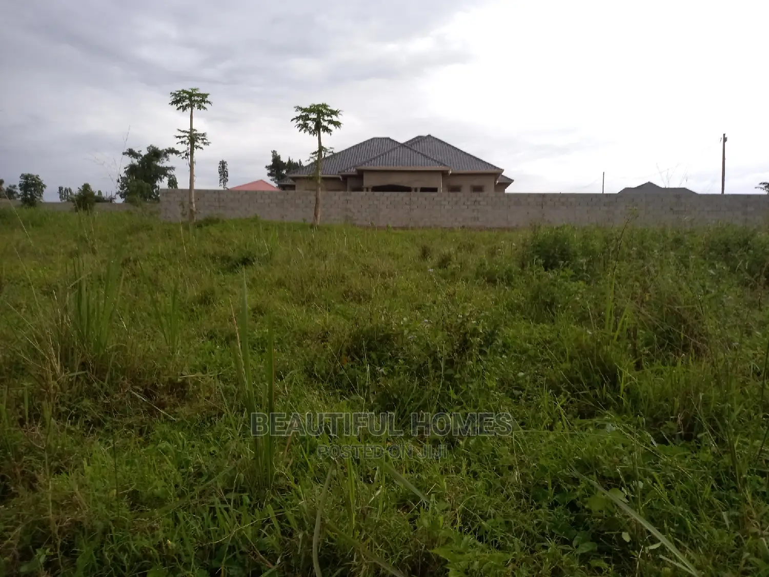 Kira Nice Two Plots of Land on Sell