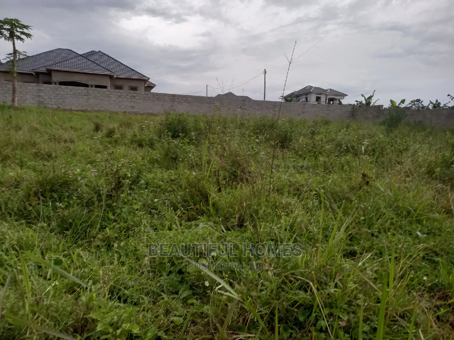 Kira Pretty Two Plots on Sell