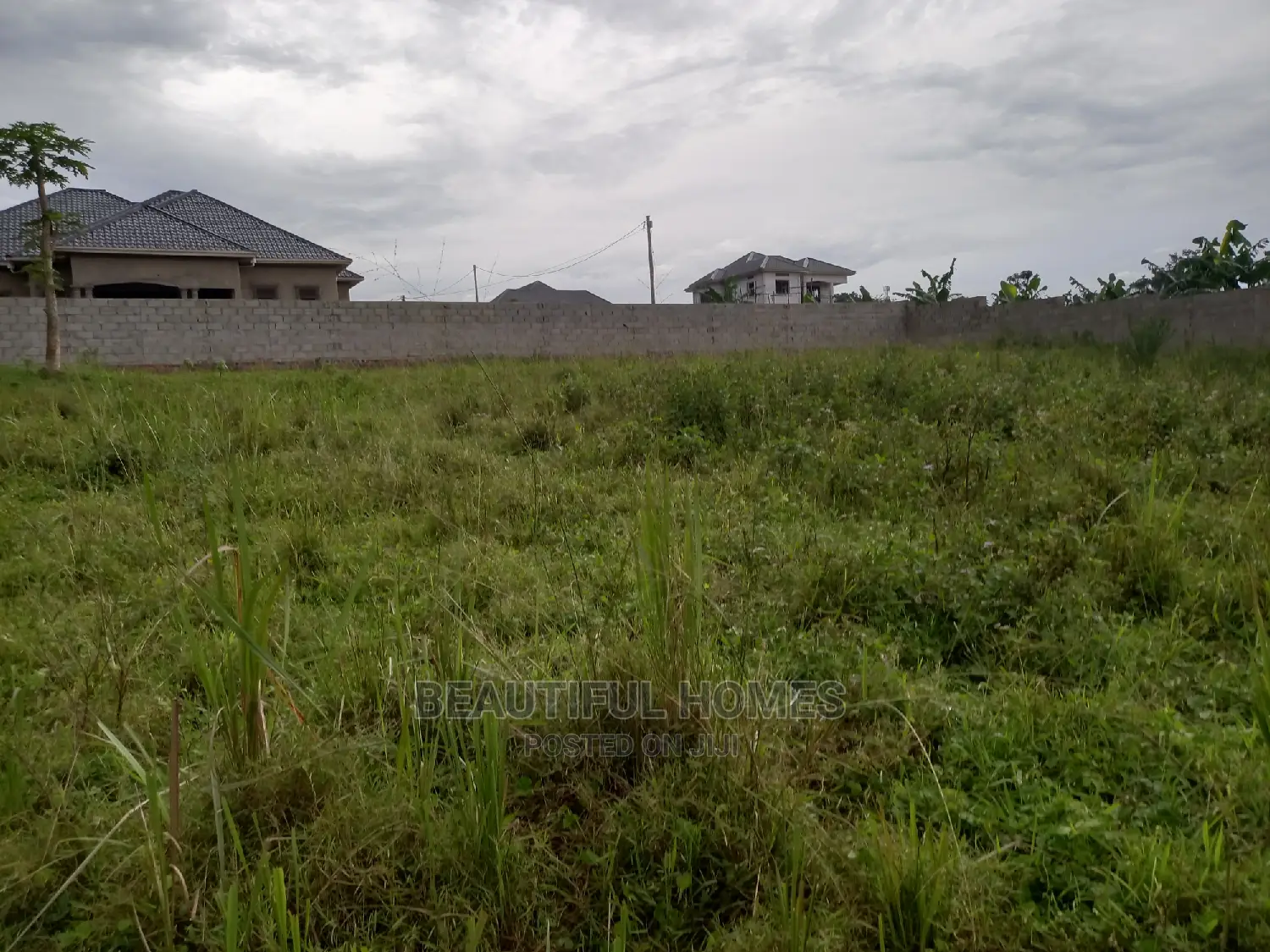 Kira Great Two Plots of Land on Quicksell