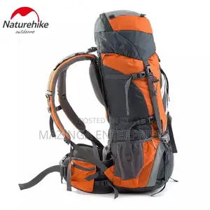 65litres Backpack Bags (Good Gor Sports, Camping,Tours)