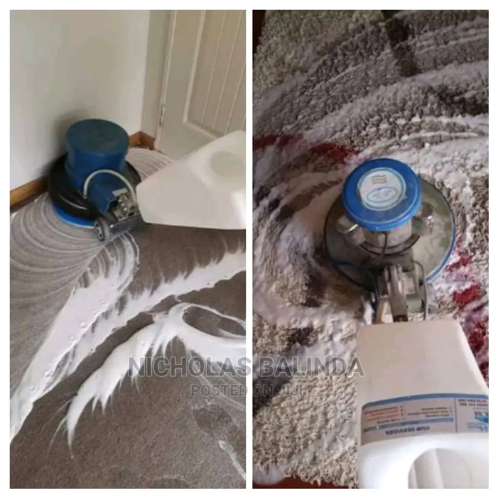 Deep Carpet Cleaning in Progress