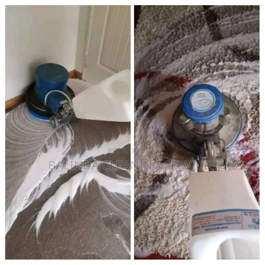 Deep Carpet Cleaning in Progress