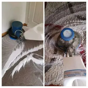 Deep Carpet Cleaning in Progress