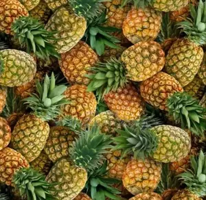 Photo - Sweet Juicy Pineaples