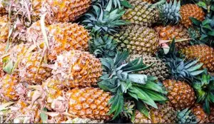 Photo - Ugandan Pineaples