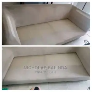 Professional Seats Cleaning