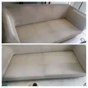 Professional Seats Cleaning