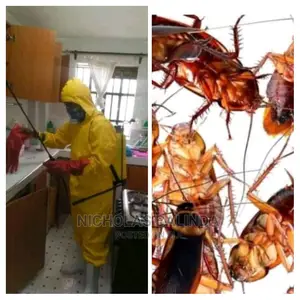 Cockroaches in the Kitchen Are Solved by NB Service