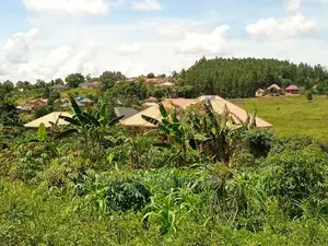 12decumals Plot of Land for Sale at Gayaza Nakwero