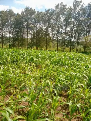 12decumals Plot of Land for Sale at Gayaza Nakwero