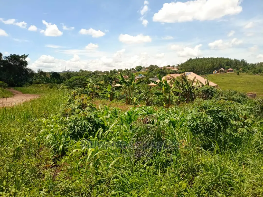 12decumals Plot of Land for Sale at Gayaza Nakwero