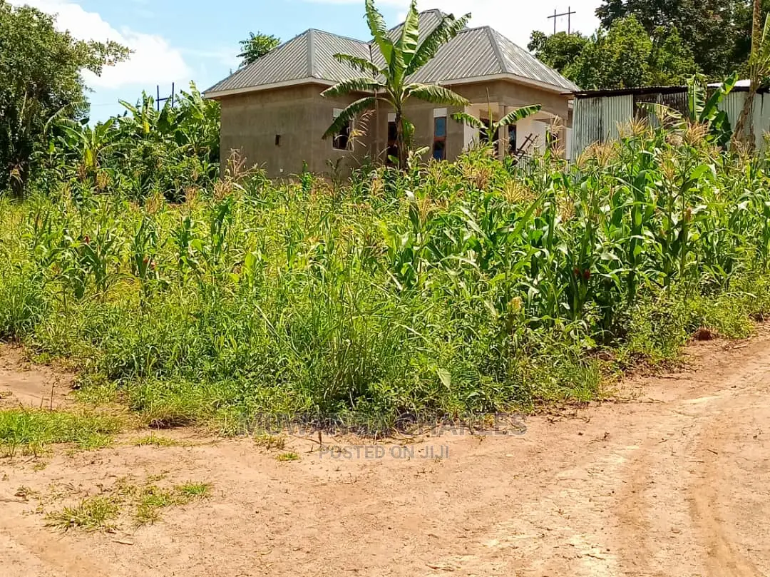 12decumals Plot of Land for Sale at Gayaza Nakwero